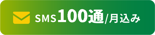 SNS 100通/月込み