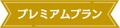 プレミアムプラン