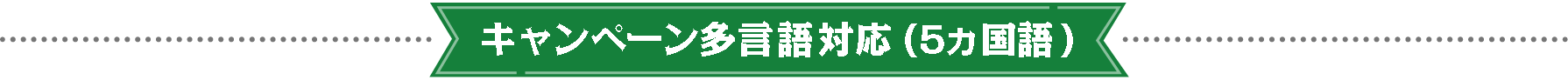 キャンペーン多言語対応（５カ国語）
