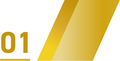 No01
